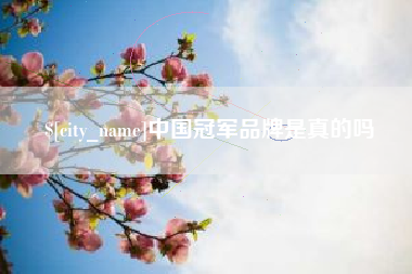 商丘中国冠军品牌是真的吗