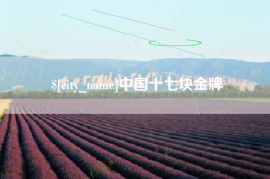 商丘中国十七块金牌
