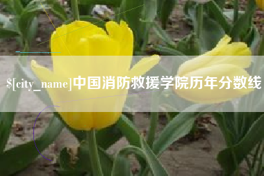 商丘中国消防救援学院历年分数线