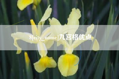 商丘九宫格优点