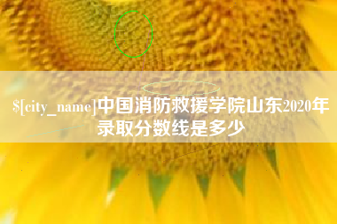 商丘中国消防救援学院山东2020年录取分数线是多少