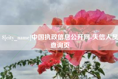 商丘中国执政信息公开网-失信人员查询页
