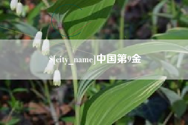 商丘中国第9金