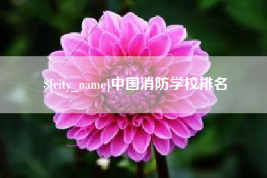 商丘中国消防学校排名