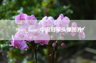 商丘中国冠军头像图片