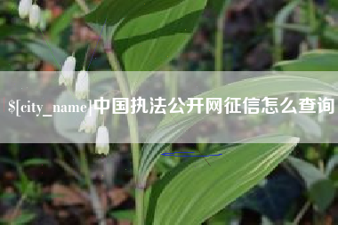 商丘中国执法公开网征信怎么查询