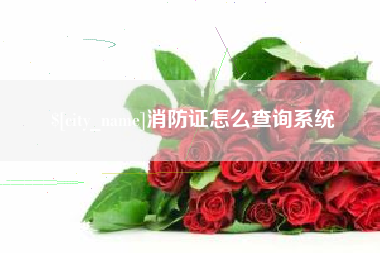 商丘消防证怎么查询系统