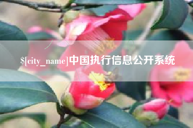 商丘中国执行信息公开系统
