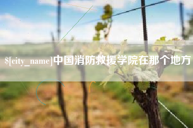 商丘中国消防救援学院在那个地方