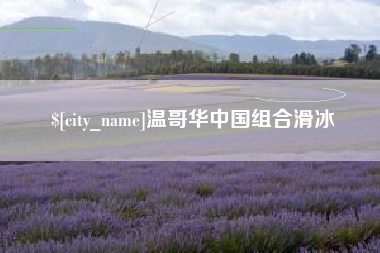 商丘温哥华中国组合滑冰