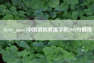 商丘中国消防救援学院2018分数线