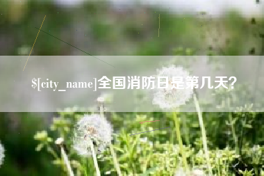 商丘全国消防日是第几天？