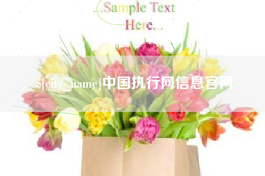 商丘中国执行网信息官网