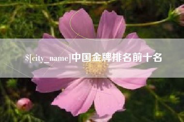 商丘中国金牌排名前十名