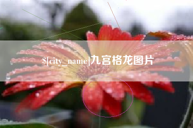 商丘九宫格龙图片