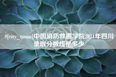 商丘中国消防救援学院2021年四川录取分数线是多少