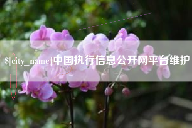 商丘中国执行信息公开网平台维护