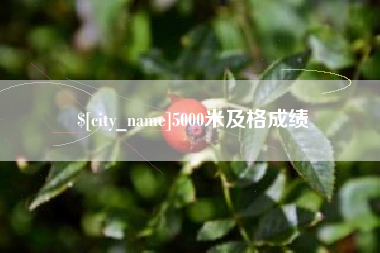 商丘5000米及格成绩