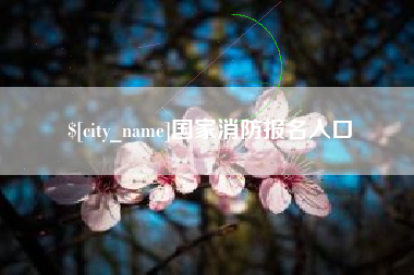 商丘国家消防报名入口