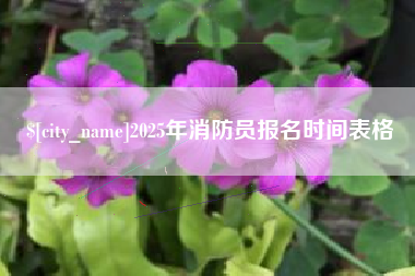 商丘2025年消防员报名时间表格