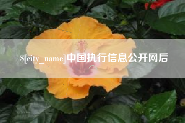 商丘中国执行信息公开网后