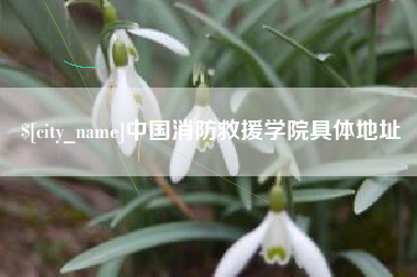 商丘中国消防救援学院具体地址