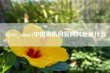 商丘中国消防网官网网址是什么