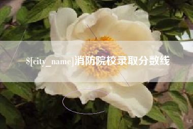 商丘消防院校录取分数线