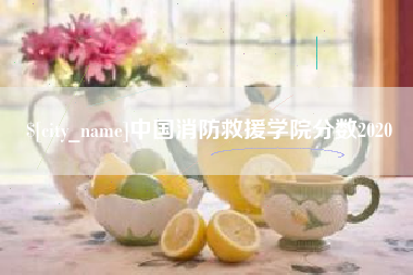 商丘中国消防救援学院分数2020