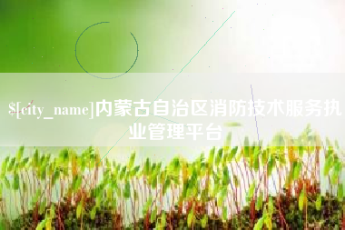商丘内蒙古自治区消防技术服务执业管理平台
