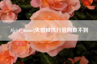 商丘失信被执行官网查不到