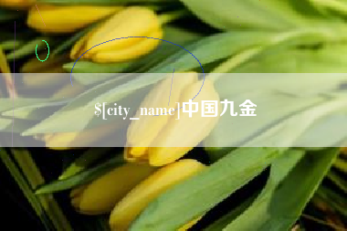 商丘中国九金