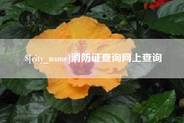 商丘消防证查询网上查询