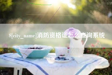 商丘消防资格证怎么查询系统