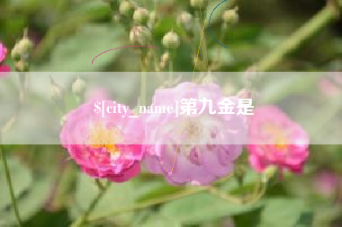 商丘第九金是