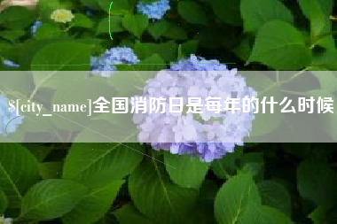 商丘全国消防日是每年的什么时候