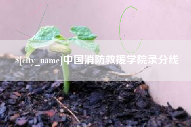商丘中国消防救援学院录分线