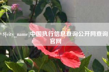 商丘中国执行信息查询公开网查询官网