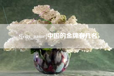 商丘中国的金牌有几名