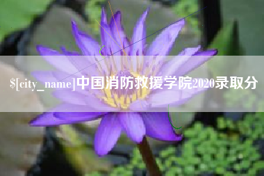 商丘中国消防救援学院2020录取分