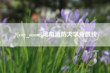 商丘河南消防大学分数线