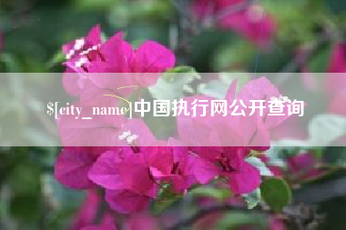 商丘中国执行网公开查询