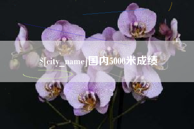 商丘国内5000米成绩