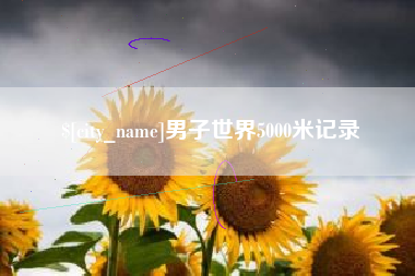 商丘男子世界5000米记录