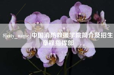 商丘中国消防救援学院简介及招生章程指挥部