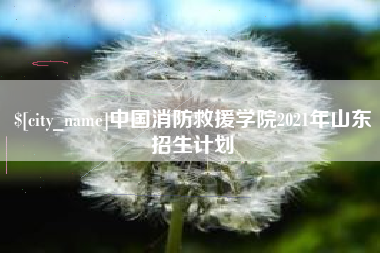 商丘中国消防救援学院2021年山东招生计划