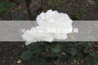 商丘消防证的查询