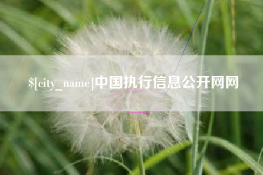 商丘中国执行信息公开网网