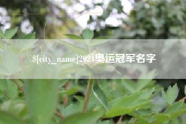 商丘2024奥运冠军名字