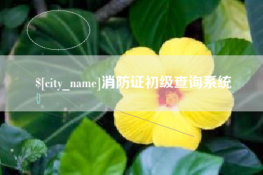 商丘消防证初级查询系统
